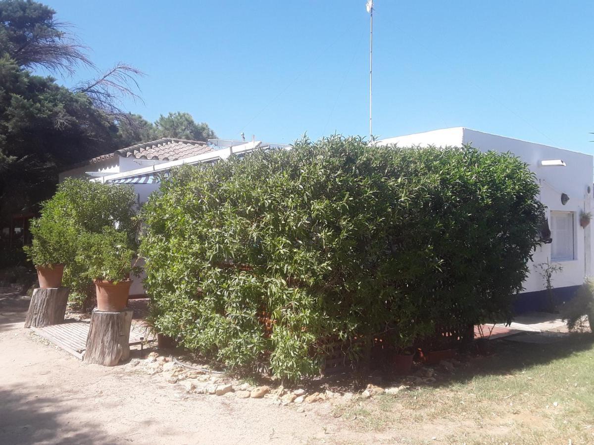 En Finca Las Dunas Dos Chalets Con Jacuzzis En Primera Linea De Playa , Uno De 4 Dormitorios Y Otro De 2 Dormitorios, Llama Al Seiscientos Veintisiete Cuatrocientos Diecisiete Trescientos Noventa Y Ocho Rota Zewnętrze zdjęcie