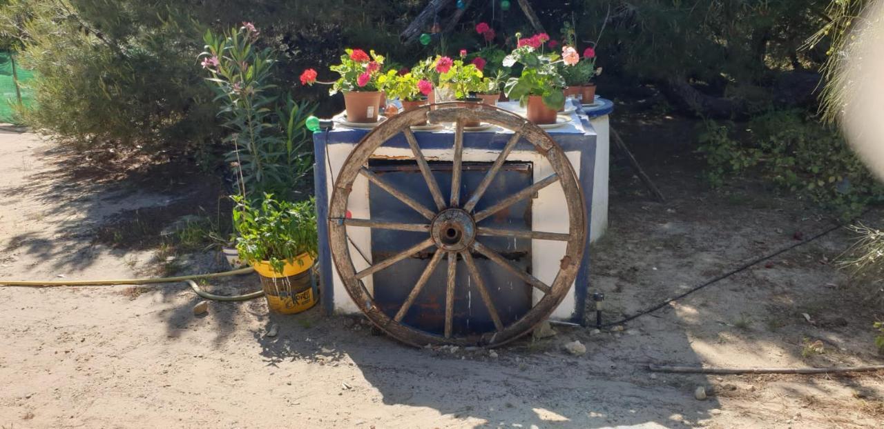 En Finca Las Dunas Dos Chalets Con Jacuzzis En Primera Linea De Playa , Uno De 4 Dormitorios Y Otro De 2 Dormitorios, Llama Al Seiscientos Veintisiete Cuatrocientos Diecisiete Trescientos Noventa Y Ocho Rota Zewnętrze zdjęcie