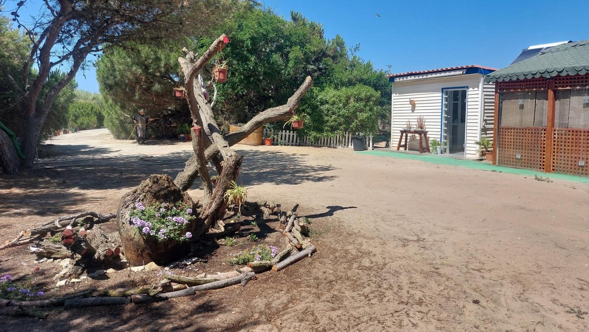 En Finca Las Dunas Dos Chalets Con Jacuzzis En Primera Linea De Playa , Uno De 4 Dormitorios Y Otro De 2 Dormitorios, Llama Al Seiscientos Veintisiete Cuatrocientos Diecisiete Trescientos Noventa Y Ocho Rota Zewnętrze zdjęcie