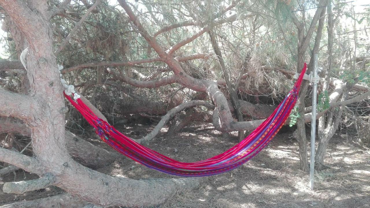 En Finca Las Dunas Dos Chalets Con Jacuzzis En Primera Linea De Playa , Uno De 4 Dormitorios Y Otro De 2 Dormitorios, Llama Al Seiscientos Veintisiete Cuatrocientos Diecisiete Trescientos Noventa Y Ocho Rota Zewnętrze zdjęcie