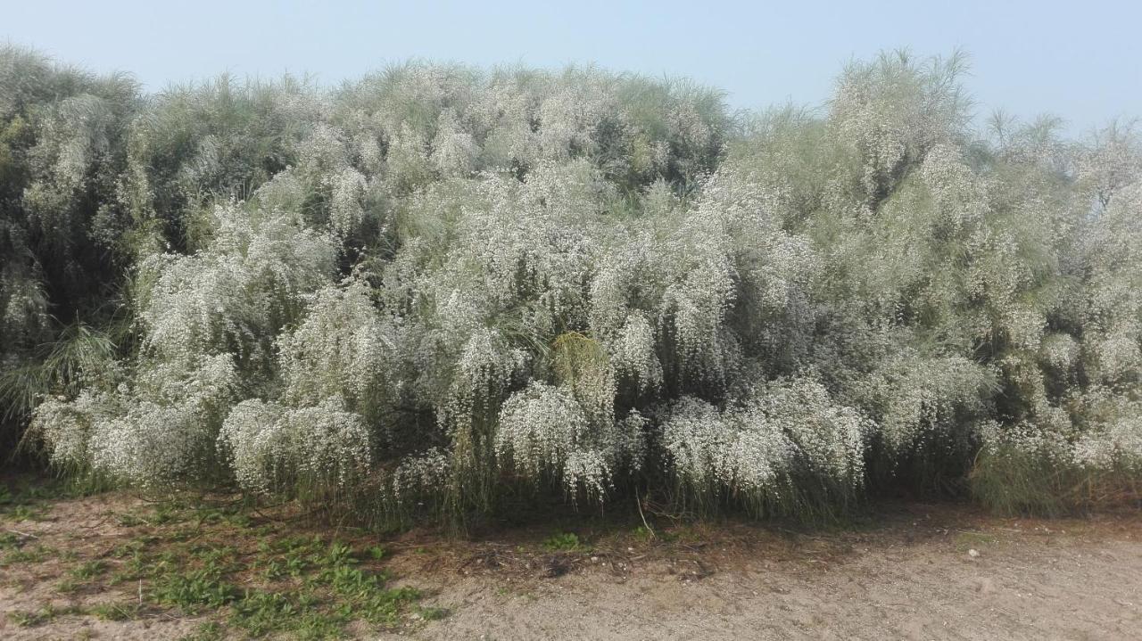 En Finca Las Dunas Dos Chalets Con Jacuzzis En Primera Linea De Playa , Uno De 4 Dormitorios Y Otro De 2 Dormitorios, Llama Al Seiscientos Veintisiete Cuatrocientos Diecisiete Trescientos Noventa Y Ocho Rota Zewnętrze zdjęcie